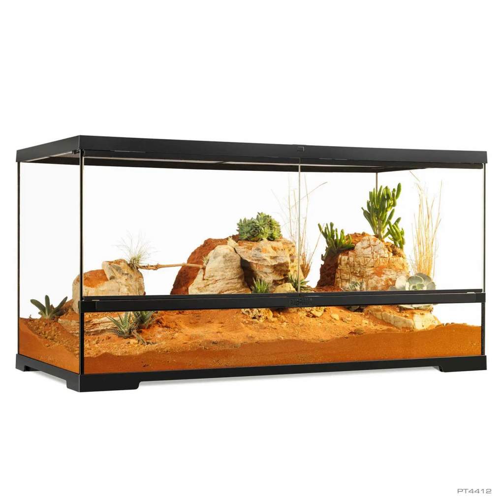 Pro Terrarium